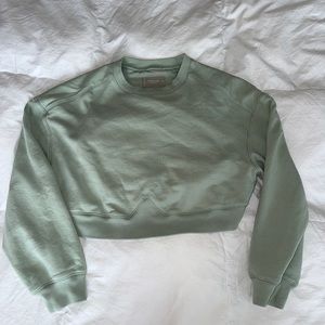 Everlane Cropped Sweater